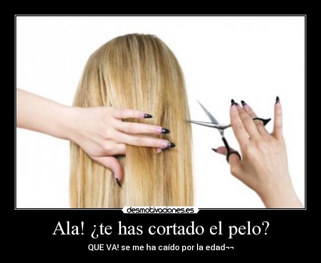 Ala! ¿te has cortado el pelo? - 