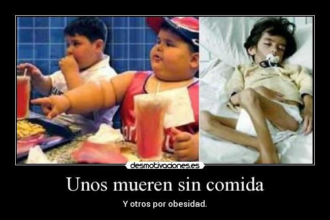 Unos mueren sin comida - Y otros por obesidad.