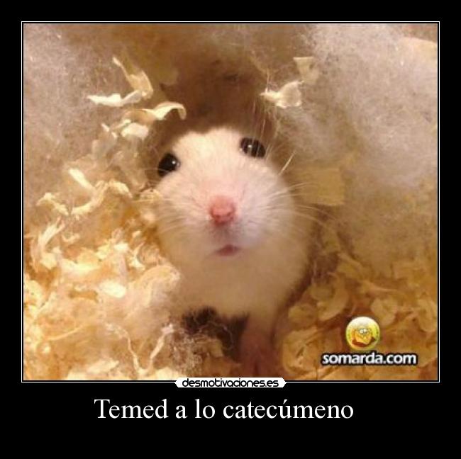 Temed a lo catecúmeno -