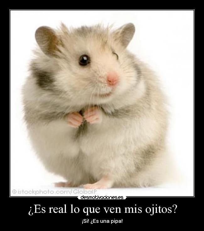 ¿Es real lo que ven mis ojitos? - 