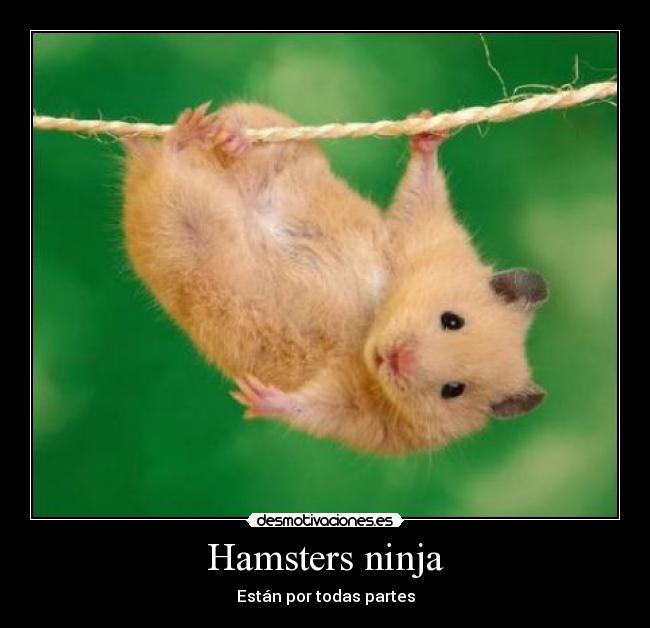 carteles ninja desmotivaciones