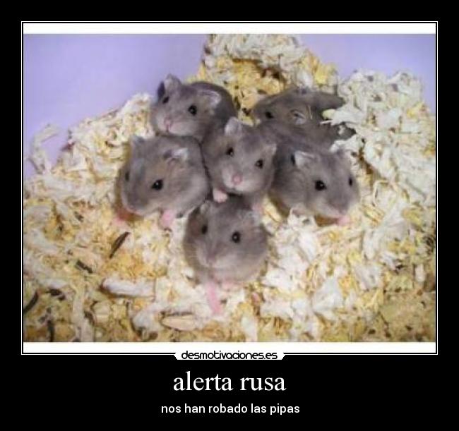 alerta rusa -