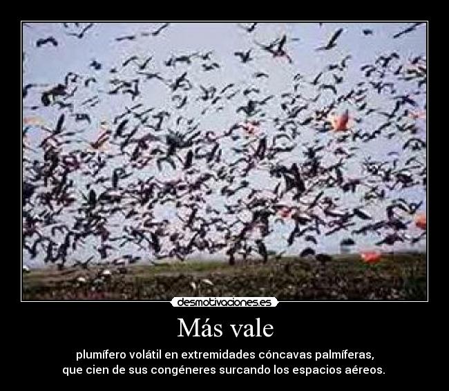 Más vale - plumífero volátil en extremidades cóncavas palmíferas,
que cien de sus congéneres surcando los espacios aéreos.