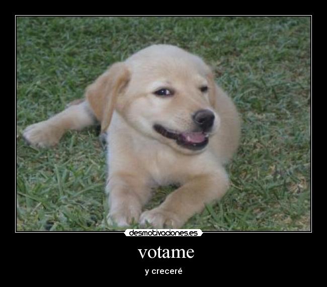 votame - y creceré