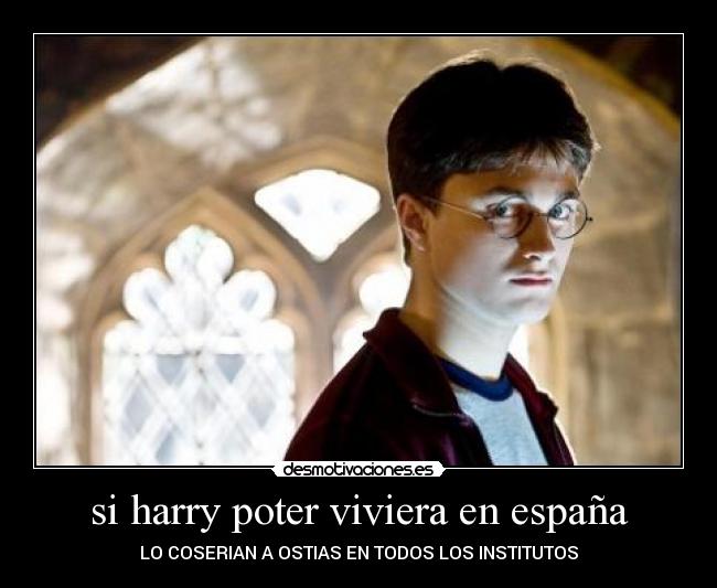 carteles espana harry poter espana karrillo15 puta madre votas desmotivaciones