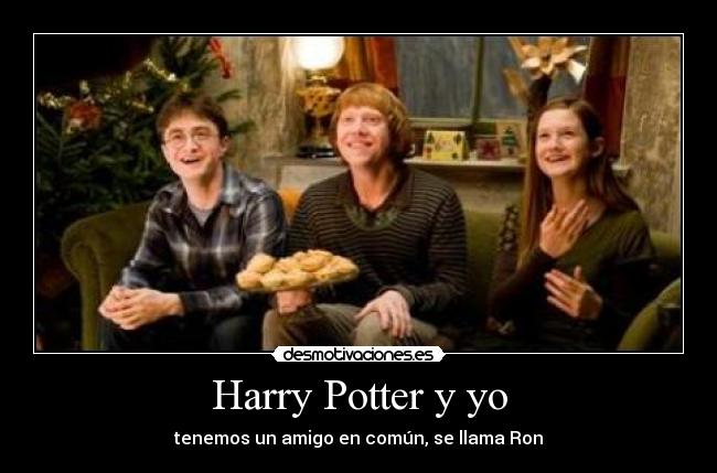 Harry Potter y yo -