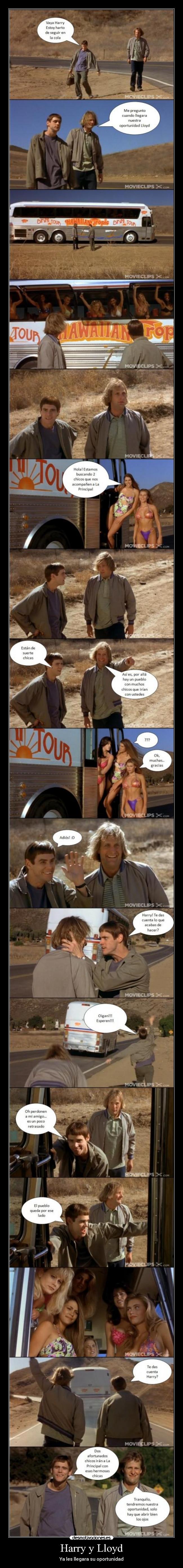 carteles harry lloyd tontos desmotivaciones