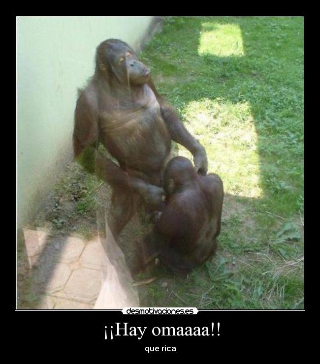 carteles hayyyyyy desmotivaciones