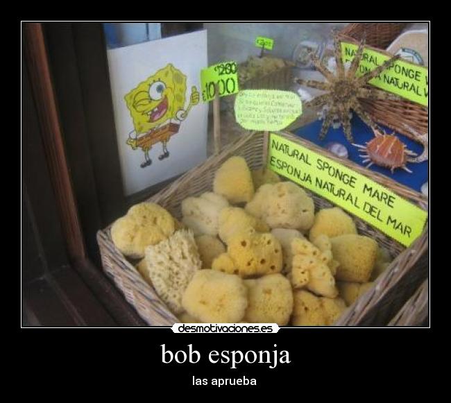 bob esponja - 