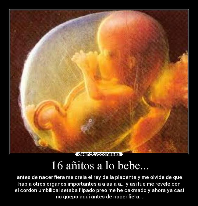 16 añitos a lo bebe... - antes de nacer fiera me creia el rey de la placenta y me olvide de que
habia otros organos importantes a a aa a a... y asi fue me revele con
el cordon umbilical setaba flipado preo me he cakmado y ahora ya casi
no quepo aqui antes de nacer fiera...