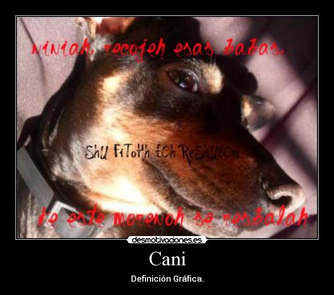 Cani - 
