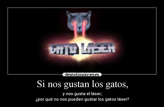 Si nos gustan los gatos, -