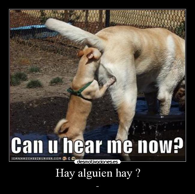 Hay alguien hay ? - 