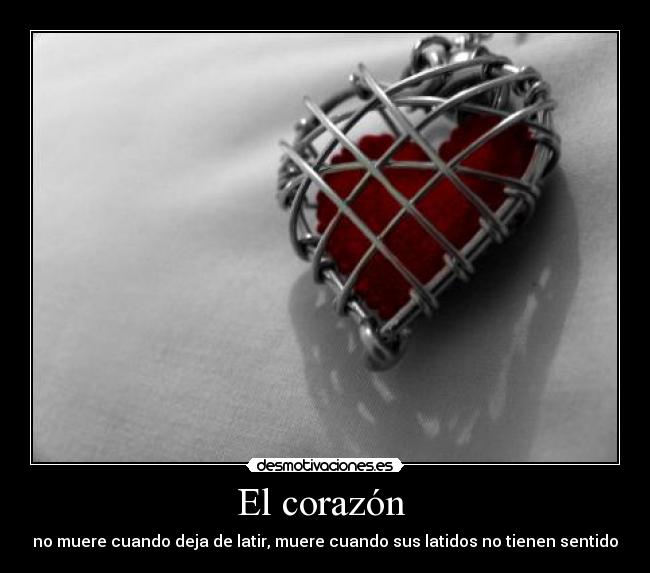 El corazón  - 