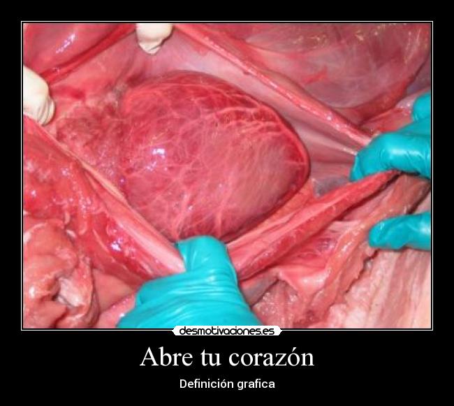 Abre tu corazón - 