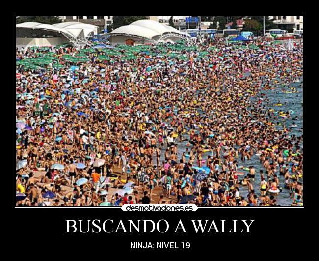 BUSCANDO A WALLY - 