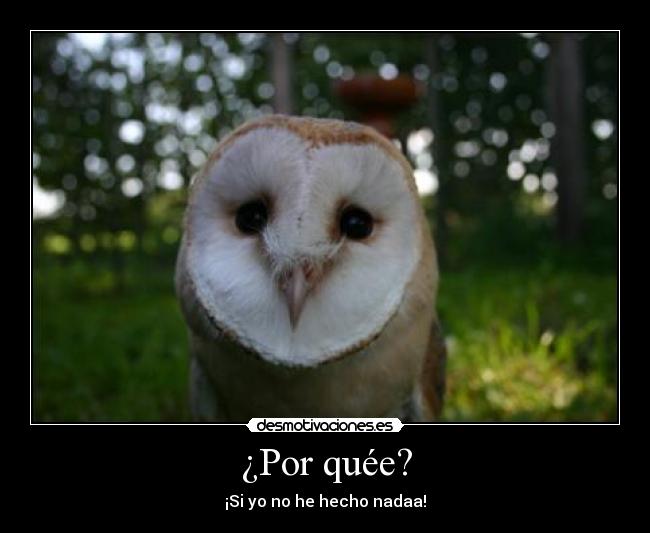 ¿Por quée? -
