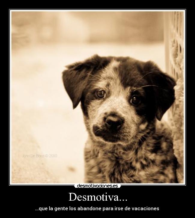 Desmotiva... -