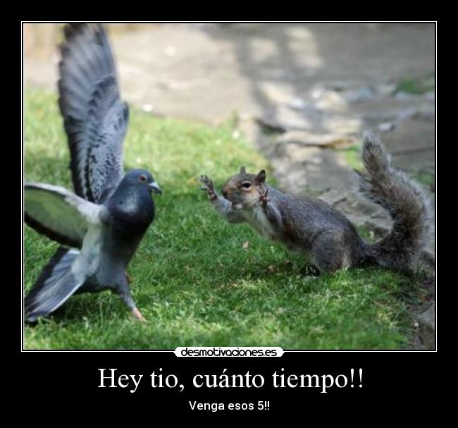 Hey tio, cuánto tiempo!! - Venga esos 5!!