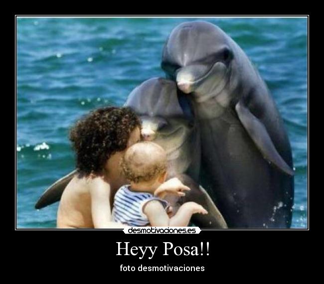 Heyy Posa!! - foto desmotivaciones