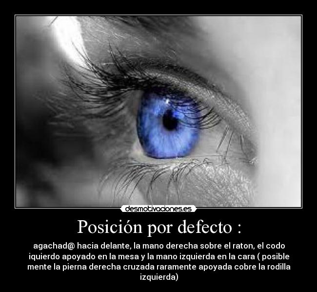 carteles xddd desmotivaciones