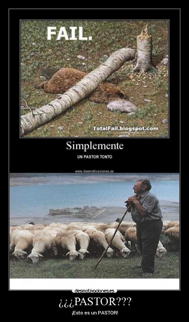 ¿¿¿PASTOR??? -