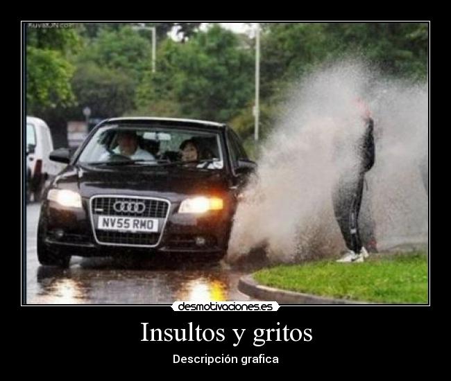 Insultos y gritos - Descripción grafica