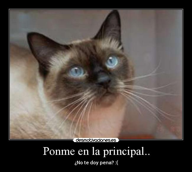 Ponme en la principal.. - ¿No te doy pena? :(