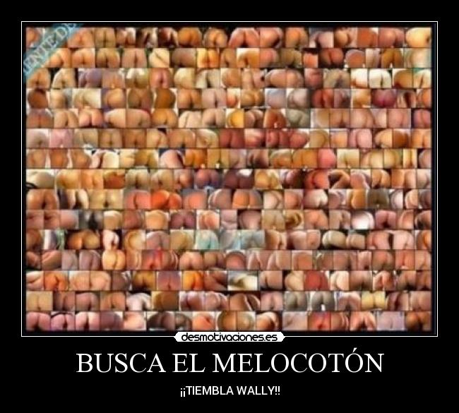 BUSCA EL MELOCOTÓN - 