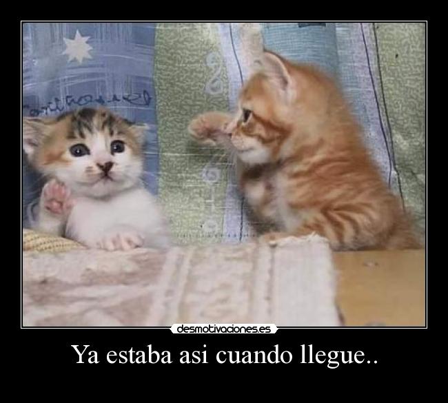 Ya estaba asi cuando llegue.. -