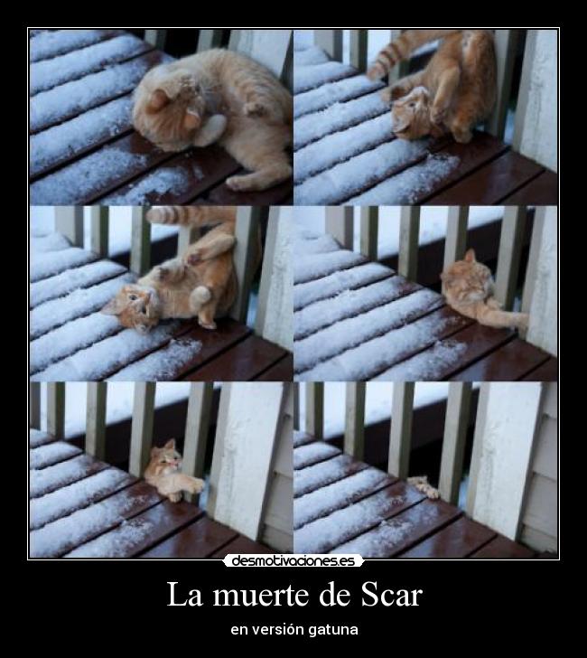 La muerte de Scar -