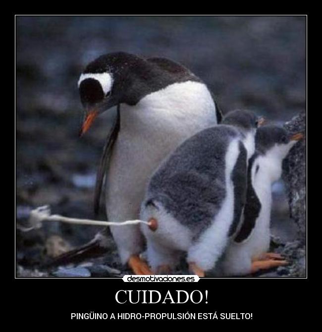 CUIDADO! - 