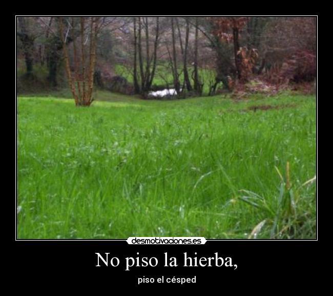 No piso la hierba, - 