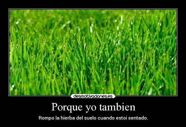 Porque yo tambien - 