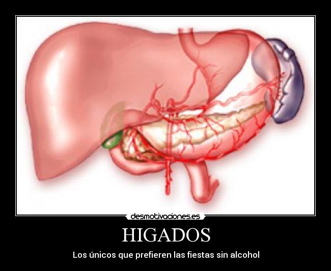 HIGADOS - Los únicos que prefieren las fiestas sin alcohol