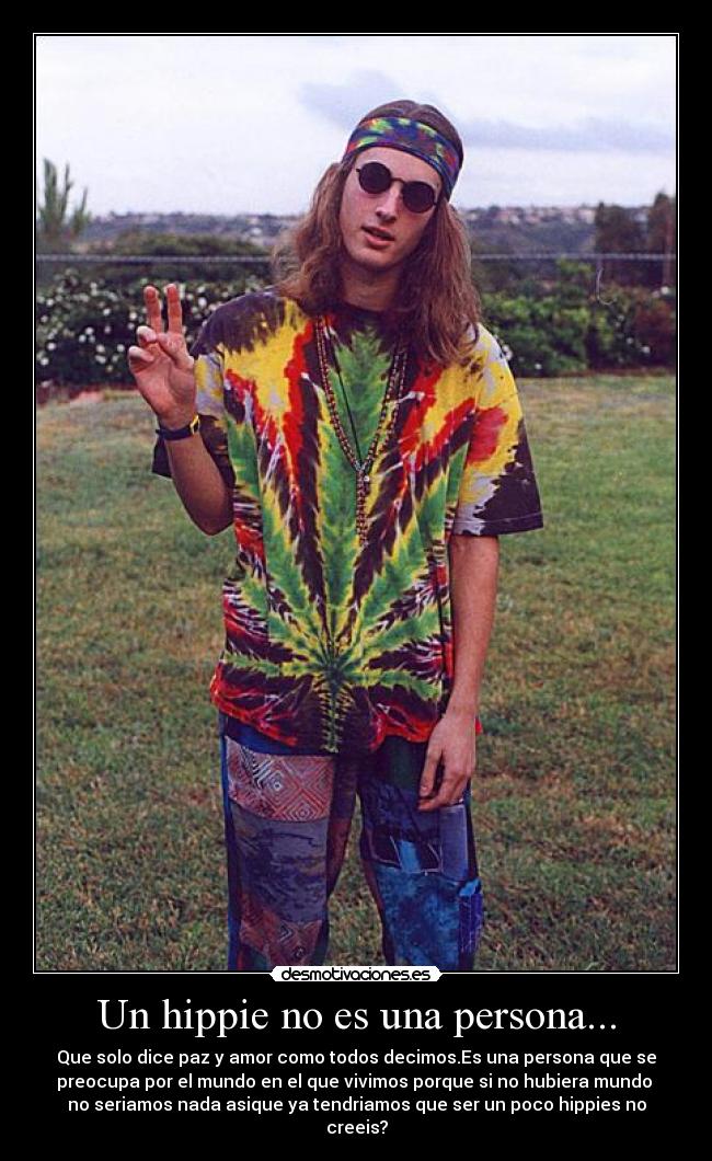 Un hippie no es una persona... - 