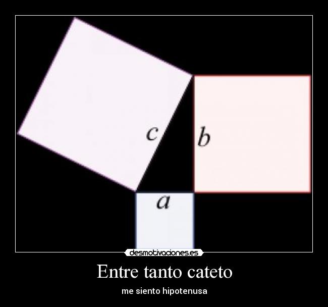 Entre tanto cateto -