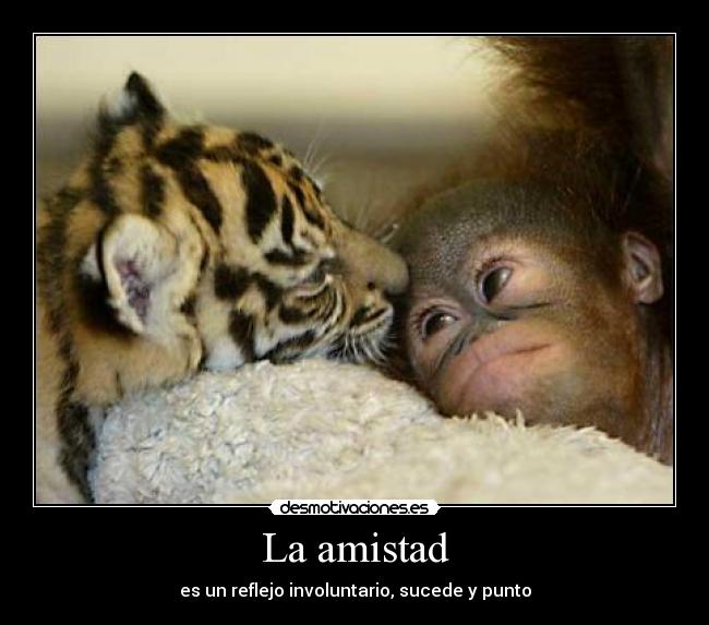 La amistad - 