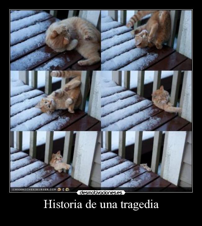 Historia de una tragedia - 