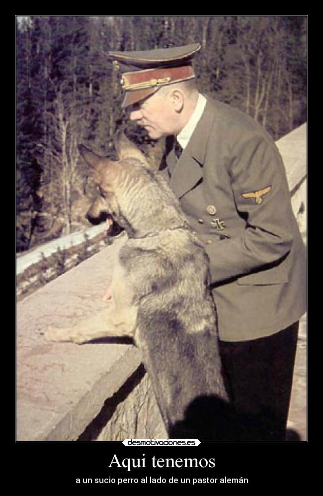 carteles hitler sanceporro perro pastor aleman desmotivaciones