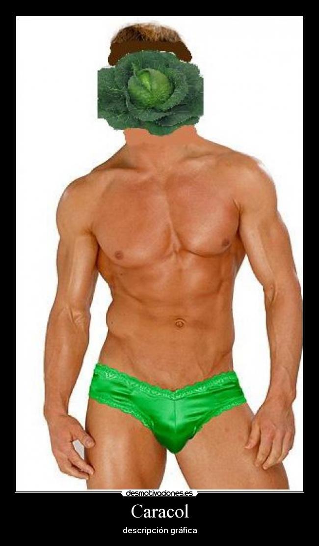 Caracol - descripción gráfica