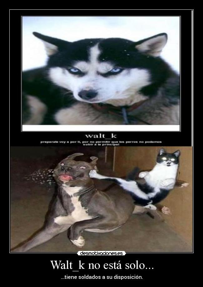 Walt_k no está solo... - ...tiene soldados a su disposición.