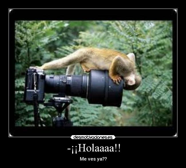 -¡¡Holaaaa!! -