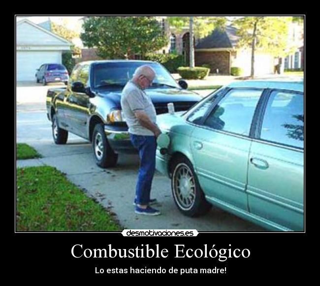 Combustible Ecológico - Lo estas haciendo de puta madre!