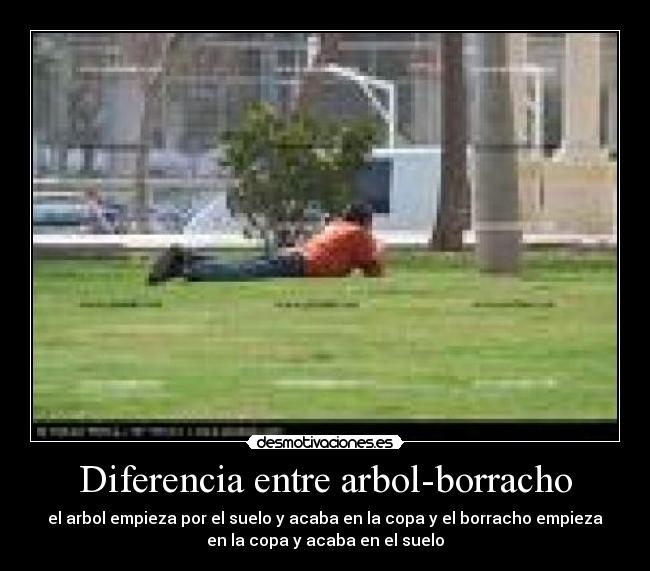 Diferencia entre arbol-borracho - el arbol empieza por el suelo y acaba en la copa y el borracho empieza
en la copa y acaba en el suelo