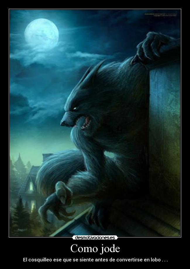 carteles lobo desmotivaciones