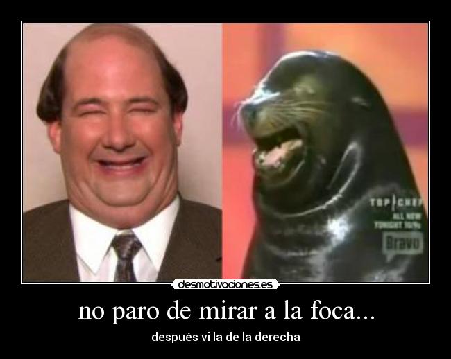 no paro de mirar a la foca... -