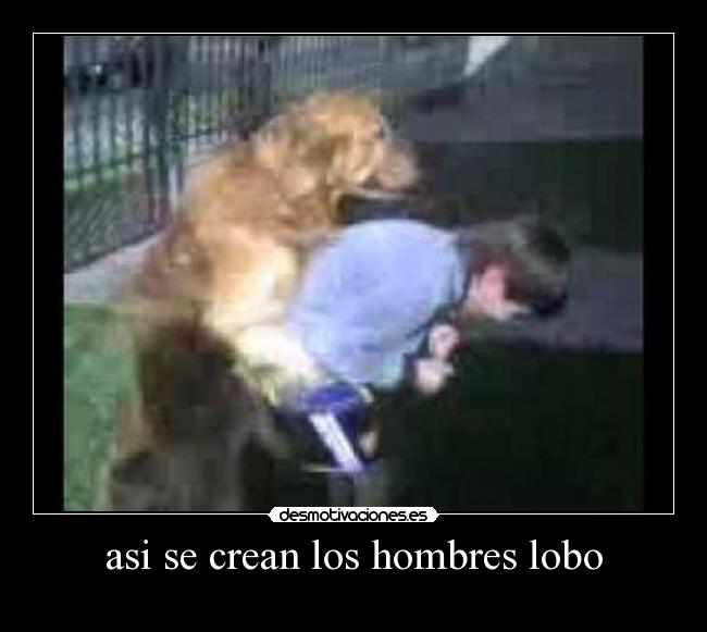 asi se crean los hombres lobo -