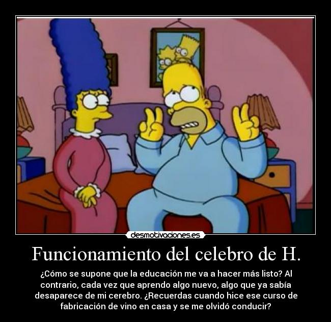 Funcionamiento del celebro de H. - ¿Cómo se supone que la educación me va a hacer más listo? Al
contrario, cada vez que aprendo algo nuevo, algo que ya sabía
desaparece de mi cerebro. ¿Recuerdas cuando hice ese curso de
fabricación de vino en casa y se me olvidó conducir?