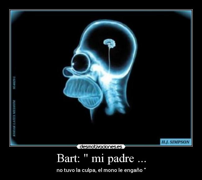 Bart:  mi padre ... - no tuvo la culpa, el mono le engaño 